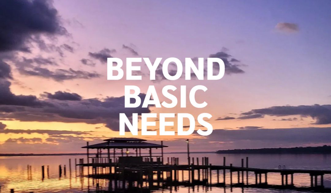 Beyond Basic Needs