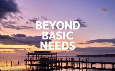 Beyond Basic Needs