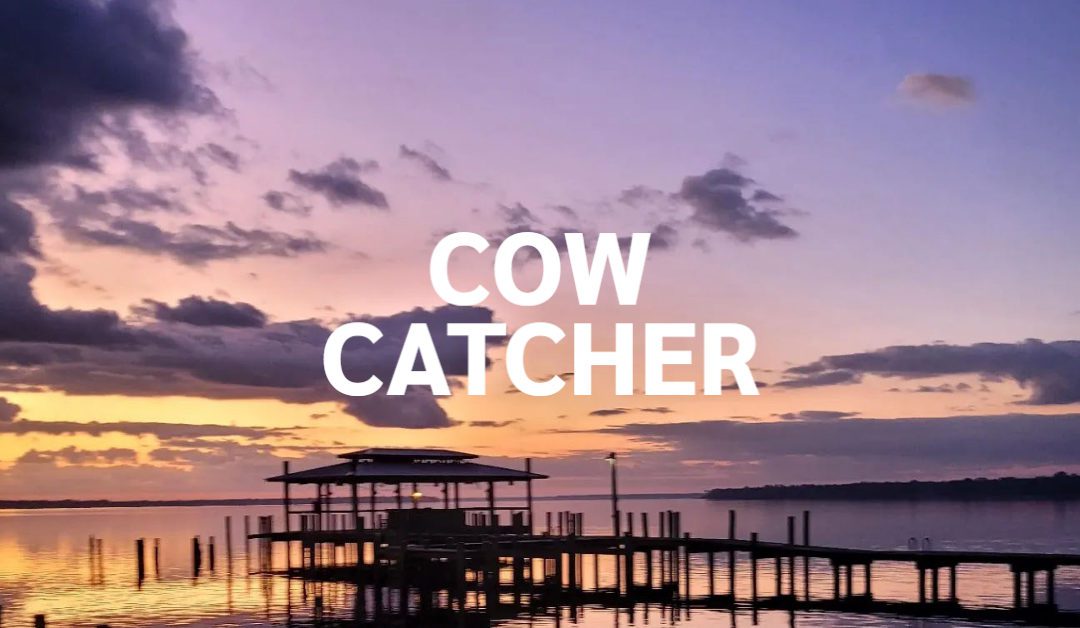 Cow Catcher