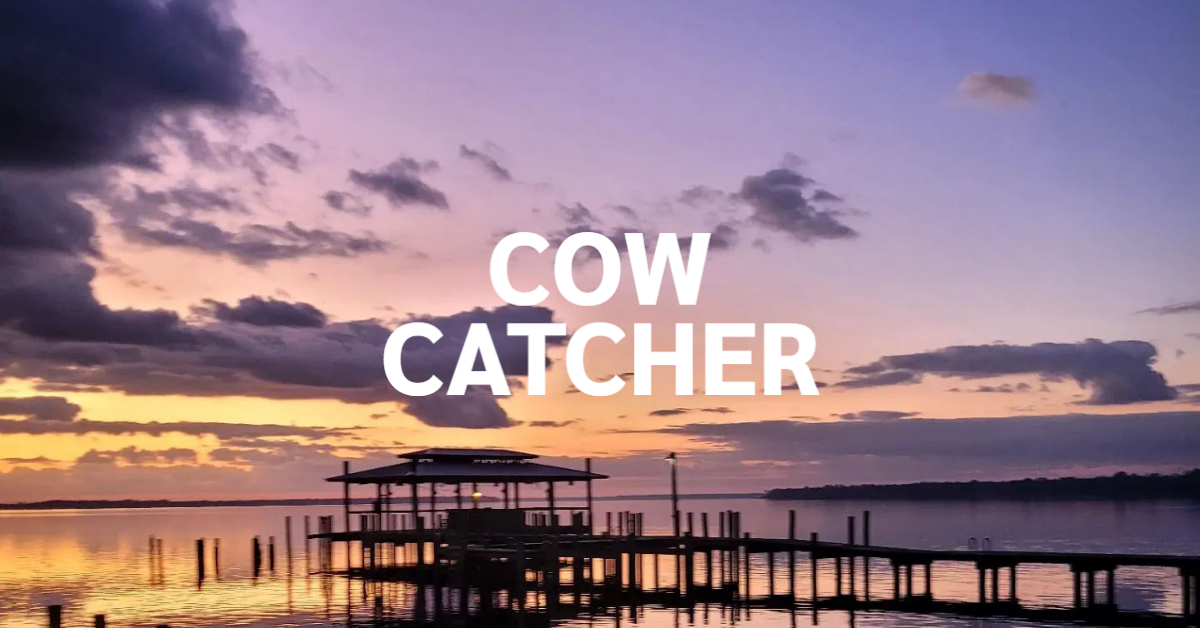 Cow Catcher Visit Welaka Florida