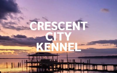 Crescent City Kennel