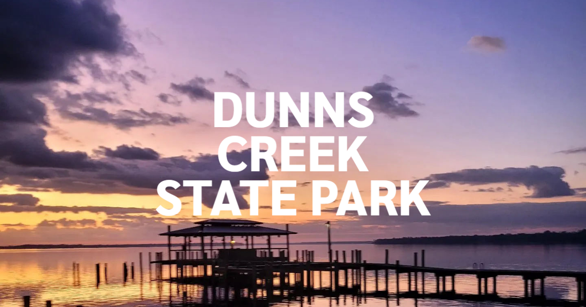 Dunns Creek State Park Visit Welaka, Florida