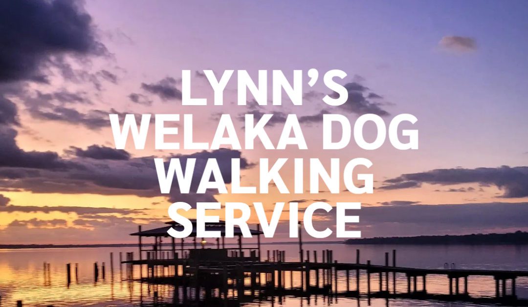 Lynn’s Welaka Dog Walking Service