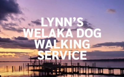 Lynn’s Welaka Dog Walking Service