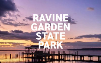 Ravine Garden State Park