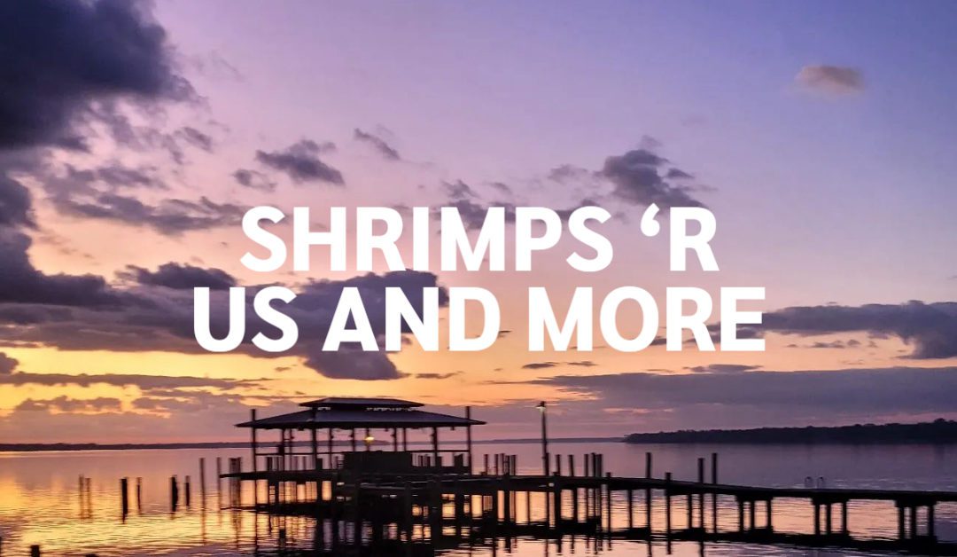 Shrimps ‘R Us and More