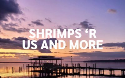 Shrimps ‘R Us and More