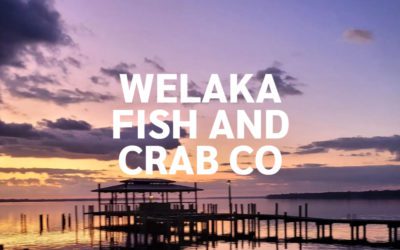 Welaka Fish, Crab And Bait