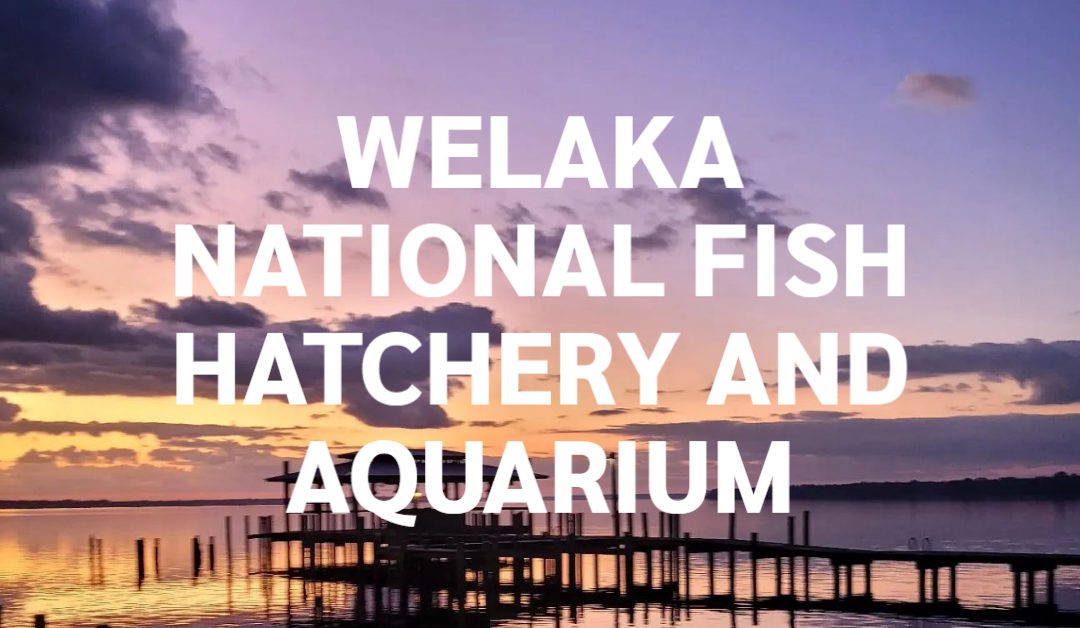 Welaka National Fish Hatchery and Aquarium