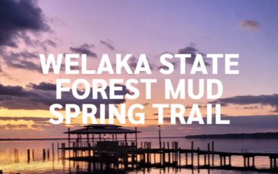 Welaka State Forest Mud Spring Trail