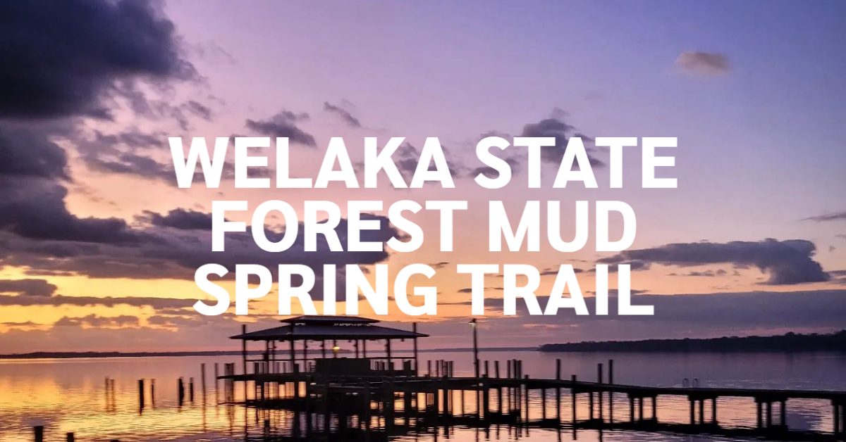 Welaka State Forest Mud Spring Trail | Visit Welaka, Florida