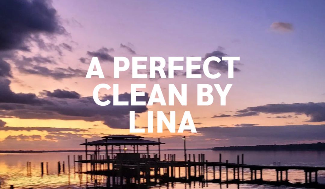 A Perfect Clean By Lina