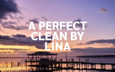 A Perfect Clean By Lina