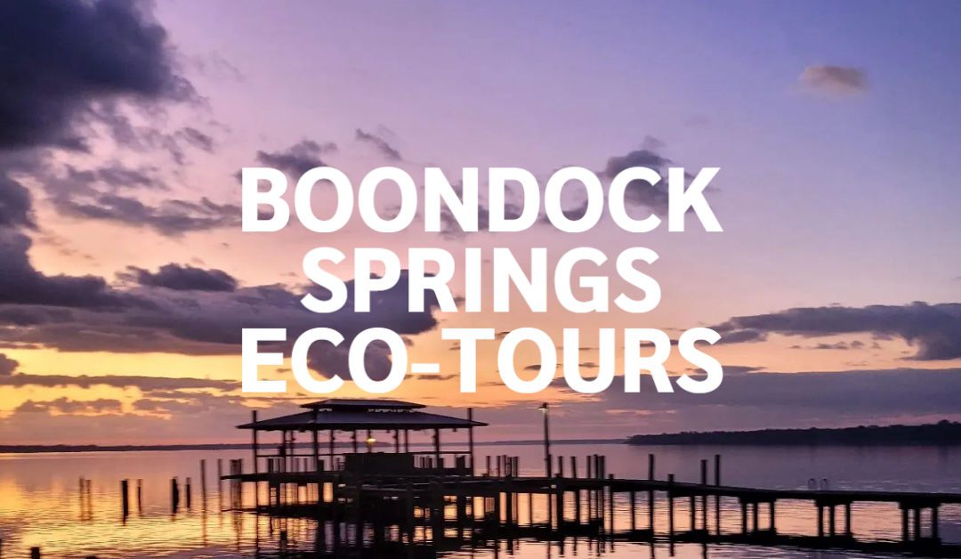 Boondock Springs Eco-Tours