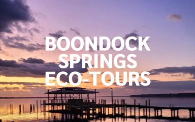 Boondock Springs Eco-Tours
