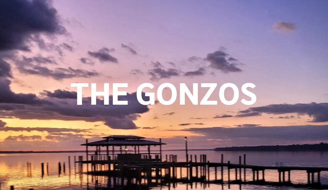 The Gonzos