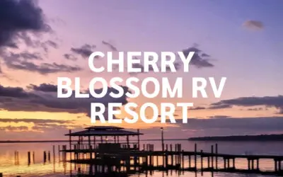 Cherry Blossom RV Resort